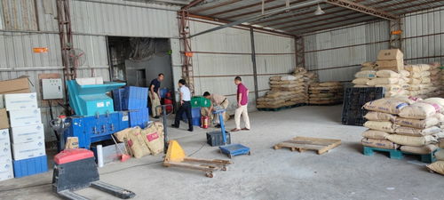 廣東省惠陽食品進出口公司 惠陽區商業集團公司等國有企業開展安全生產檢查